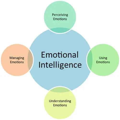 Emotional Intelligence and Business Management