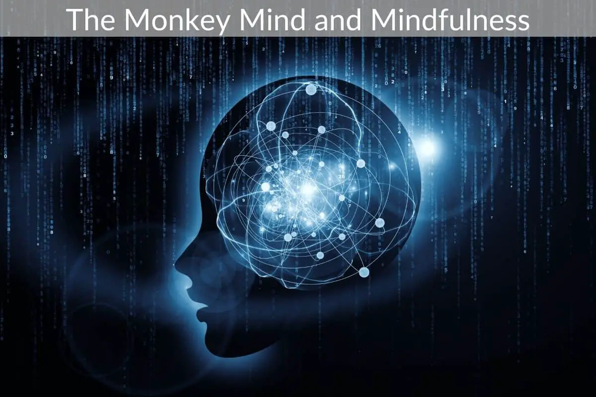 The Monkey Mind and Mindfulness