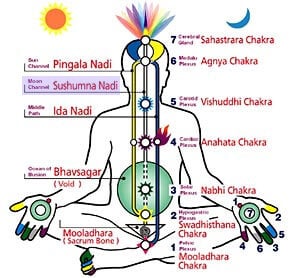 ida pingala and the seven chakras