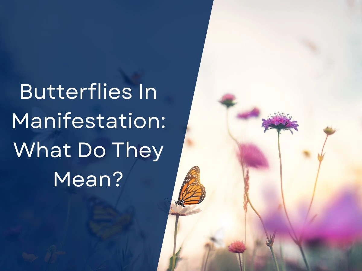 Butterflies In Manifestation: What Do They Mean?